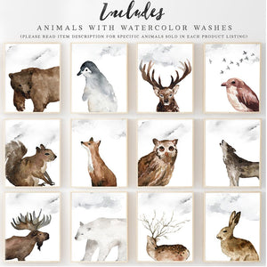 Wildwood Collection - Full Woodland + Arctic Animal Collection Without Words Version 2- Instant Download